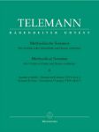 TELEMANN:METHODICAL SONATAS  VOL.2