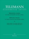 TELEMANN:METHODICAL SONATAS VOL.3