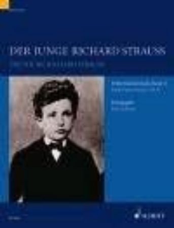 Slika STRAUSS R.:DER JUNGE RICHARD STRAUSS 2