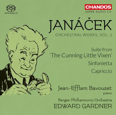 Slika JANAČEK:ORCHESTRAL WORKS VOL.1/BAVOUZET/GARDNER