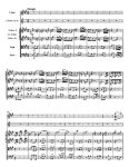 HAYDN:SYMPHONY IN F-SHARP MINOR HOB.I:45 SCORE