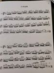 FILAS:LEGER DOMAIN 52 TOP REGISTER STUDIES FOR FLUTE