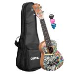 CASCHA Soprano Ukulele Urban incl.bag HH 2600