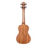 CASCHA Concert Ukulele Urban incl.bag HH 2604